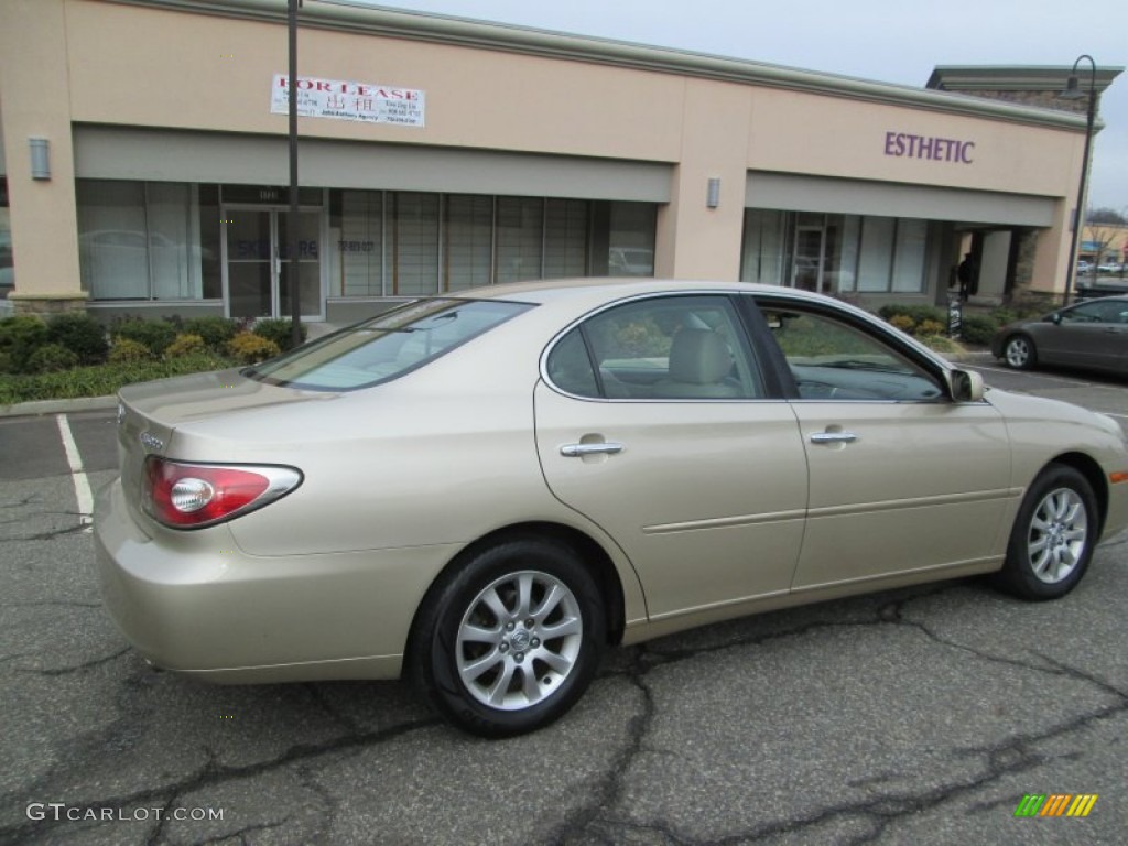 2003 ES 300 - Mystic Gold Metallic / Ivory photo #8