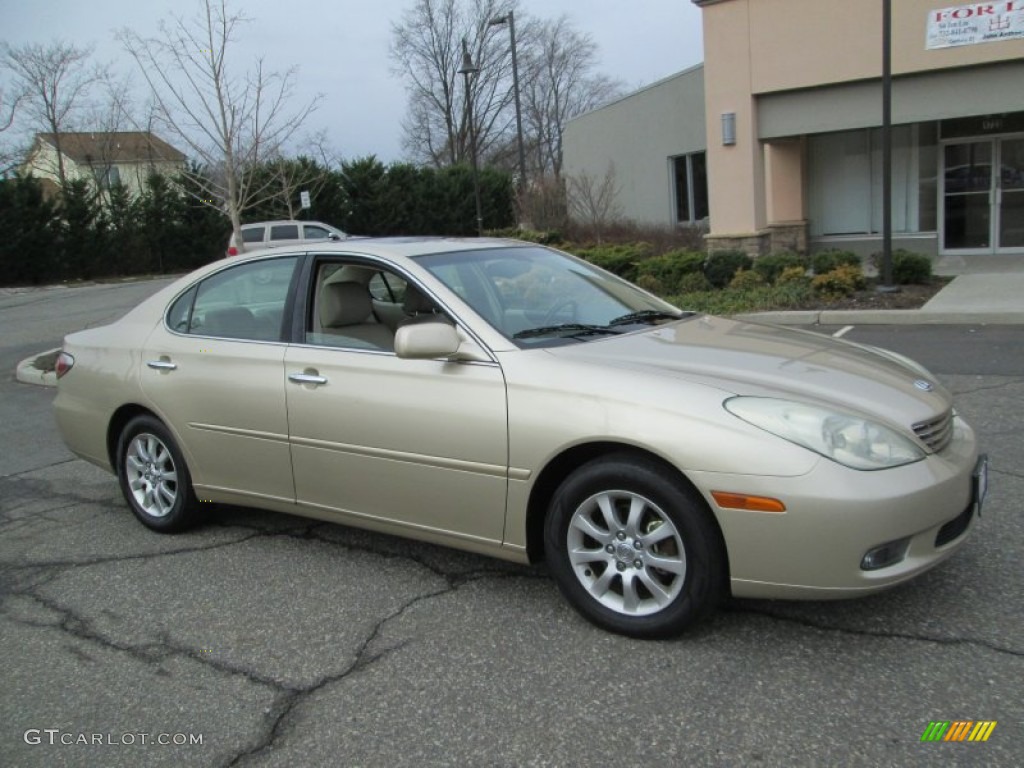 2003 ES 300 - Mystic Gold Metallic / Ivory photo #10