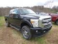 Tuxedo Black - F250 Super Duty Platinum Crew Cab 4x4 Photo No. 2