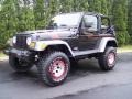 Black - Wrangler Sport 4x4 Photo No. 14