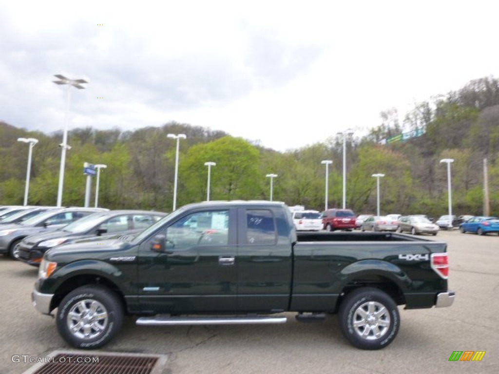 2014 F150 XLT SuperCab 4x4 - Green Gem / Steel Grey photo #5