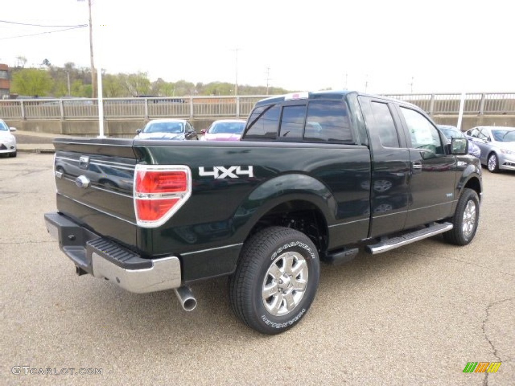 2014 F150 XLT SuperCab 4x4 - Green Gem / Steel Grey photo #8