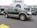 2013 Green Gem Ford Expedition XLT  photo #1