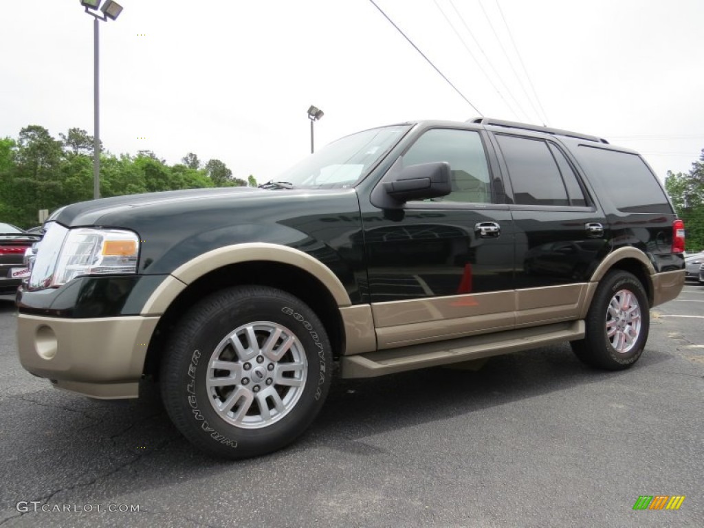 Green Gem 2013 Ford Expedition XLT Exterior Photo #93080896