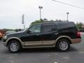 2013 Green Gem Ford Expedition XLT  photo #4