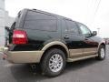 2013 Green Gem Ford Expedition XLT  photo #7