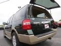 2013 Green Gem Ford Expedition XLT  photo #15