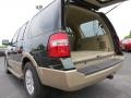 2013 Green Gem Ford Expedition XLT  photo #16