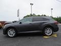 Magnetic Gray Metallic - Venza LE Photo No. 4