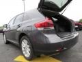 Magnetic Gray Metallic - Venza LE Photo No. 14