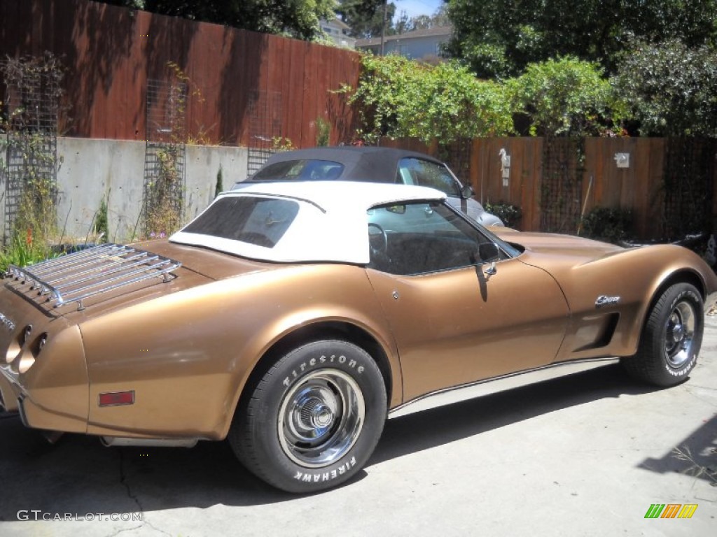 1975 Corvette Stingray Convertible - Medium Saddle / Black photo #1