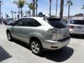 Millenium Silver Metallic - RX 330 Photo No. 5