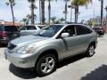 Millenium Silver Metallic - RX 330 Photo No. 6