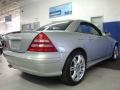 2004 Brilliant Silver Metallic Mercedes-Benz SLK 320 Roadster  photo #5