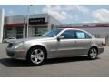 Pewter Metallic - E 500 Sedan Photo No. 1