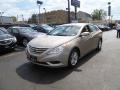 Camel Pearl - Sonata GLS Photo No. 1