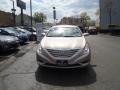 Camel Pearl - Sonata GLS Photo No. 2