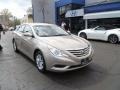 Camel Pearl - Sonata GLS Photo No. 3