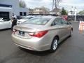 Camel Pearl - Sonata GLS Photo No. 4