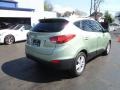 2011 Kiwi Green Hyundai Tucson GLS AWD  photo #6