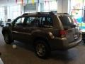 2005 Mineral Beige Pearl Mitsubishi Endeavor Limited AWD  photo #3