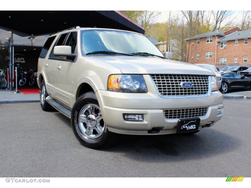 2005 Expedition Limited 4x4 - Pueblo Gold Metallic / Medium Parchment photo #1