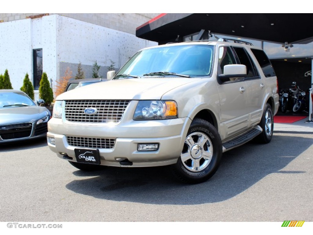 2005 Expedition Limited 4x4 - Pueblo Gold Metallic / Medium Parchment photo #3