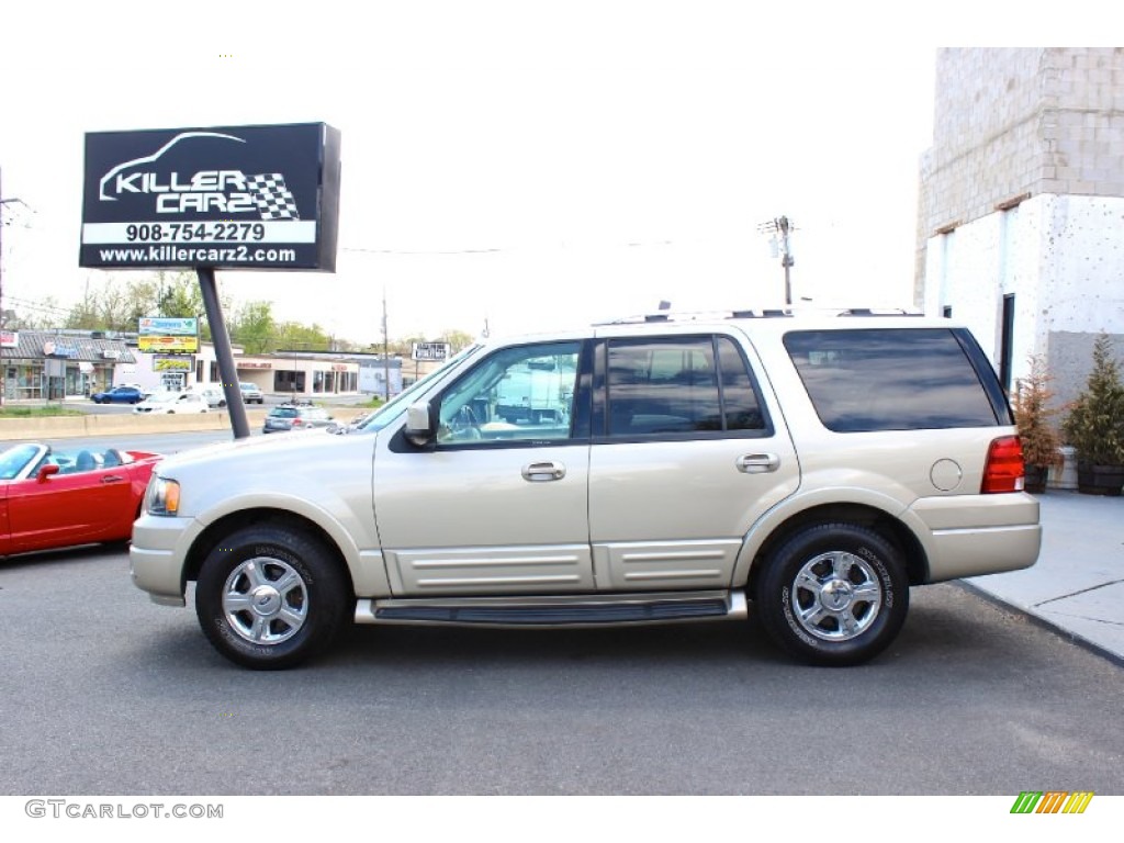 2005 Expedition Limited 4x4 - Pueblo Gold Metallic / Medium Parchment photo #4