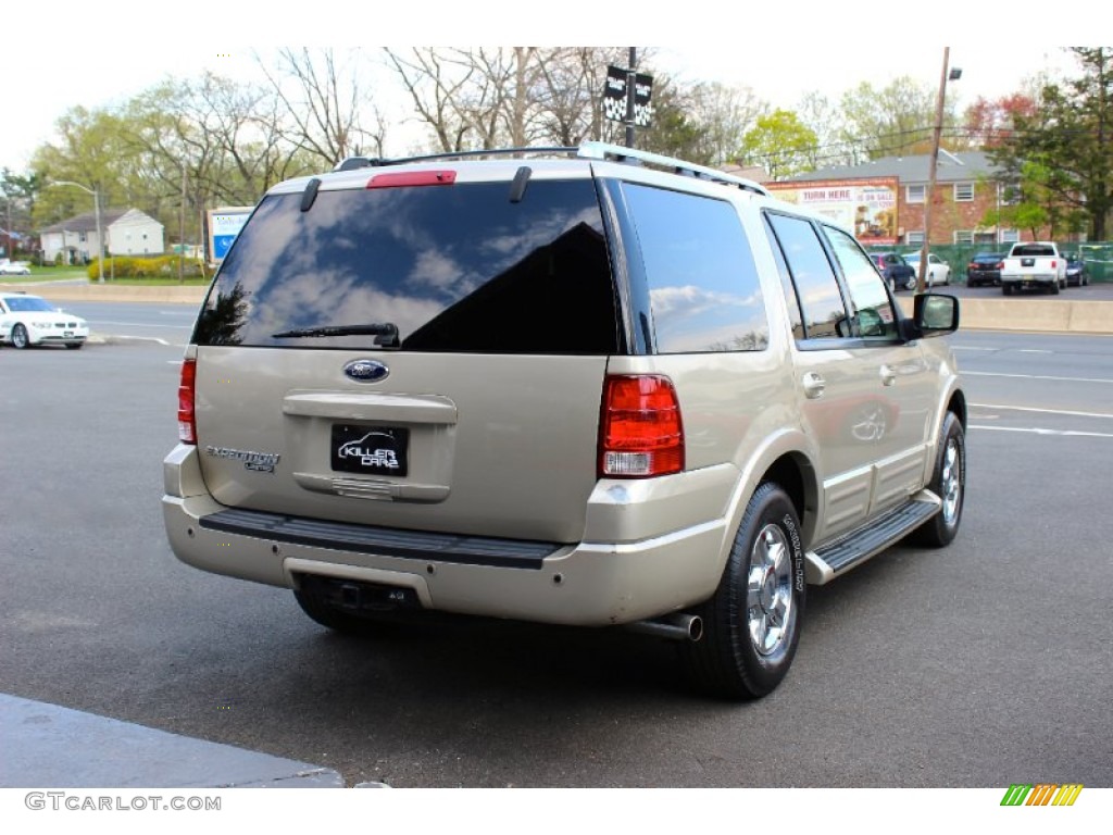 2005 Expedition Limited 4x4 - Pueblo Gold Metallic / Medium Parchment photo #7