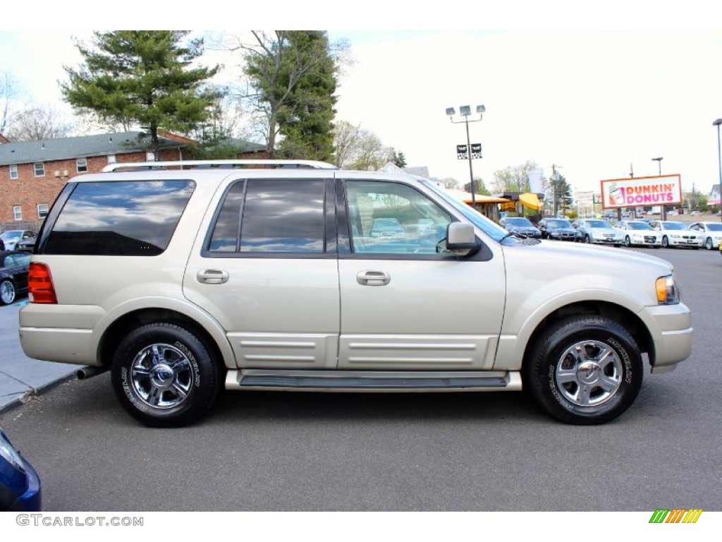 2005 Expedition Limited 4x4 - Pueblo Gold Metallic / Medium Parchment photo #10