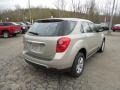 Champagne Silver Metallic - Equinox LS AWD Photo No. 6