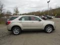 Champagne Silver Metallic - Equinox LS AWD Photo No. 8