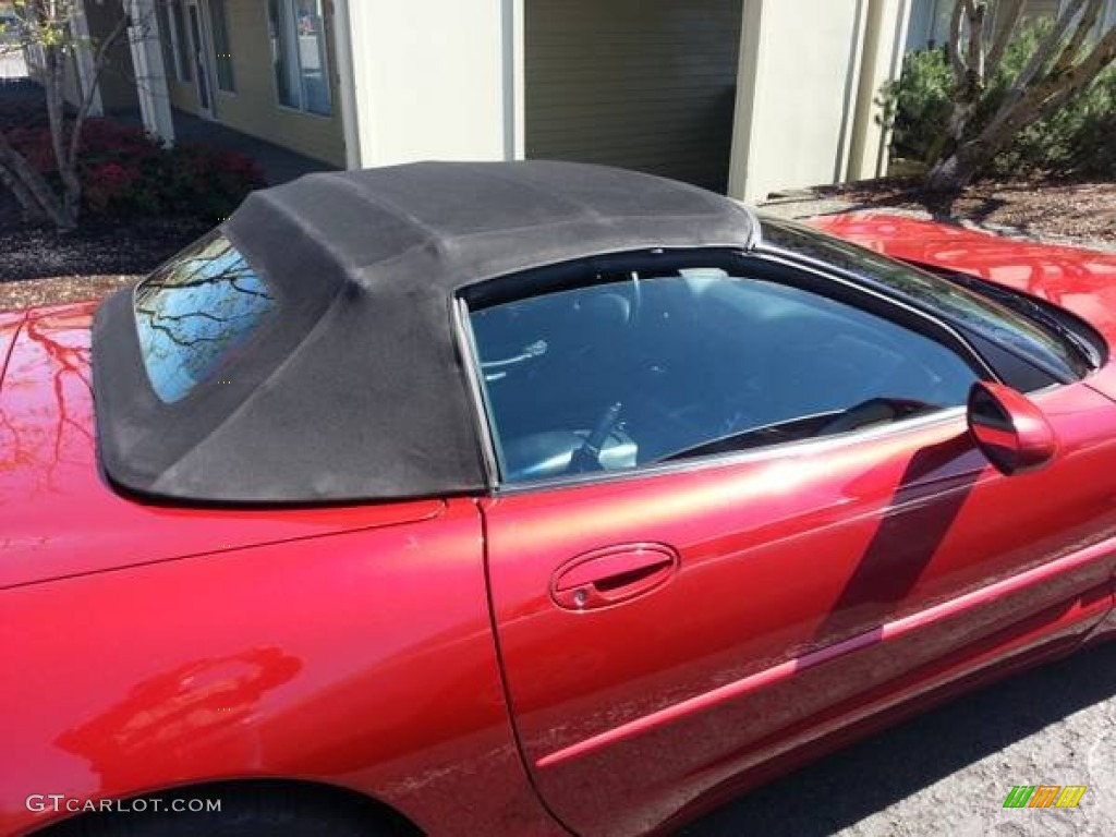 1999 Corvette Convertible - Magnetic Red Metallic / Light Oak photo #3
