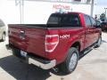 2014 Ruby Red Ford F150 XLT SuperCrew 4x4  photo #10