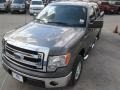 2014 Sterling Grey Ford F150 XLT SuperCrew  photo #4