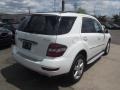 Arctic White - ML 350 4Matic Photo No. 3