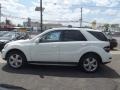 Arctic White - ML 350 4Matic Photo No. 6