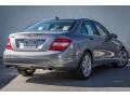 Palladium Silver Metallic - C 300 Luxury Photo No. 14