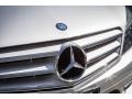 Iridium Silver Metallic - C 300 Luxury Photo No. 28