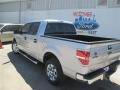 2014 Ingot Silver Ford F150 XLT SuperCrew  photo #5