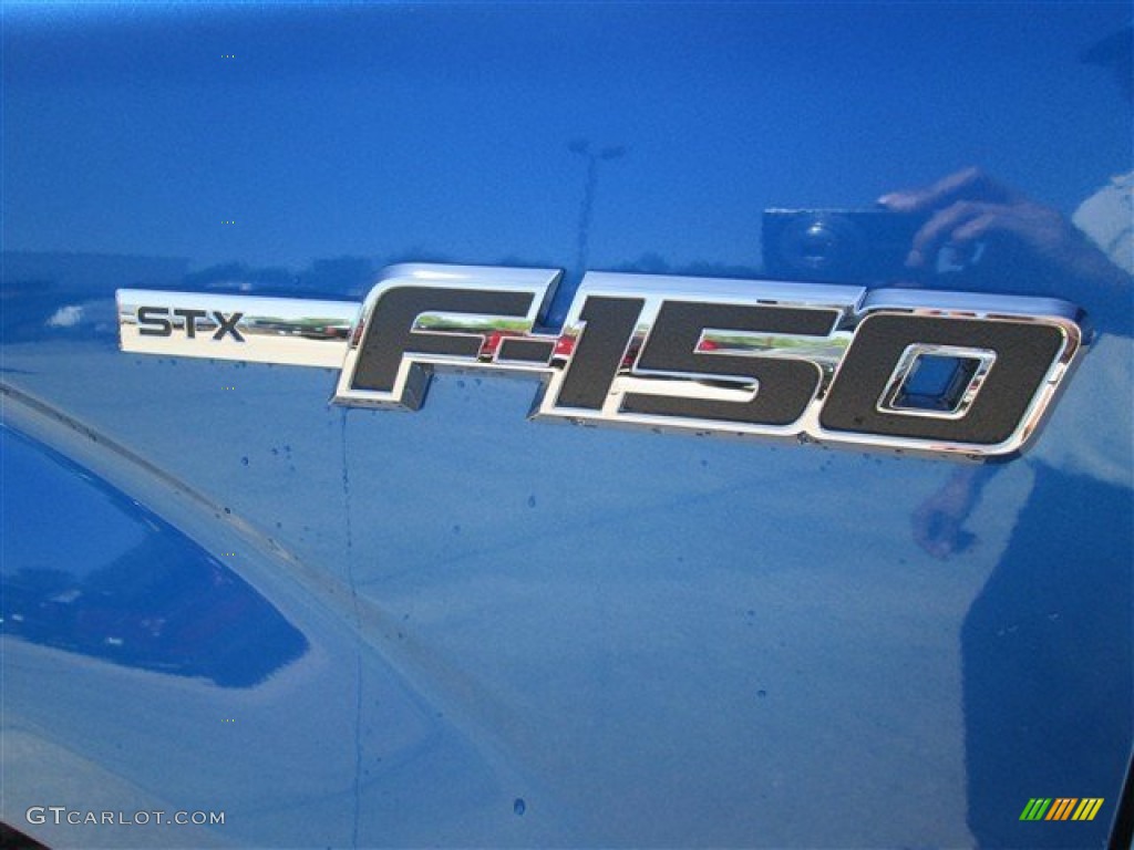 2014 F150 STX SuperCrew - Blue Flame / Black photo #4