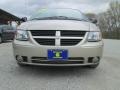 Linen Gold Metallic - Grand Caravan SXT Photo No. 3