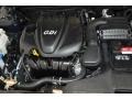 Ebony Black - Optima LX Photo No. 30