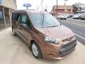 Burnished Glow - Transit Connect XLT Wagon Photo No. 3