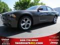 Granite Crystal Metallic - Charger SE Photo No. 1