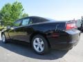 Pitch Black - Charger SE Photo No. 2