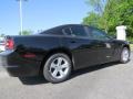 Pitch Black - Charger SE Photo No. 3