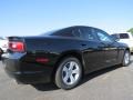 Pitch Black - Charger SE Photo No. 3