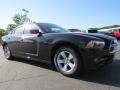 Pitch Black - Charger SE Photo No. 4