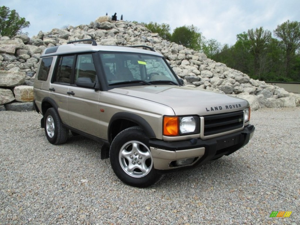 White Gold Land Rover Discovery II